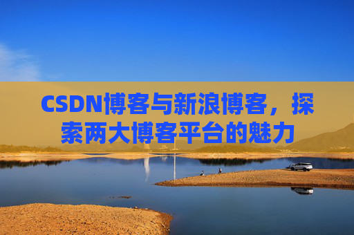 CSDN博客与新浪博客，探索两大博客平台的魅力